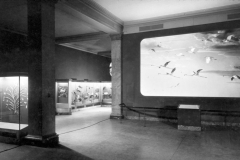 AMNH-321347-entrance-to-Sanford-Hall-hi AMNH-321347-entrance-to-Sanford-Hall-hi