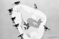 AMNH-321738-Geographical-races-hi AMNH-321738-Geographical-races-hi