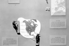 AMNH-321739-Ecological-rules-hi AMNH-321739-Ecological-rules-hi