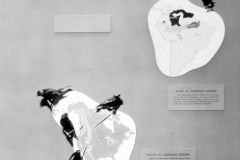 AMNH-321740-geographical-barriers-hi AMNH-321740-geographical-barriers-hi