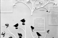 AMNH-321743-Adaptive-radiation-hi AMNH-321743-Adaptive-radiation-hi