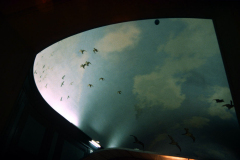 AMNH-Whitney-wing-ceiling AMNH-Whitney-wing-ceiling