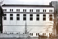 AMNH-Whitney-wing-sideview AMNH-Whitney-wing-sideview