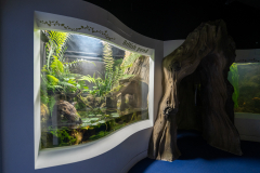 Aquarium in Horniman Museum