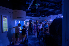 Aquarium in Horniman Museum