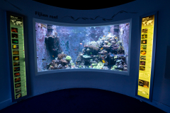Aquarium in Horniman Museum