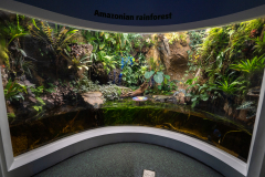 Aquarium in Horniman Museum