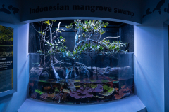 Aquarium in Horniman Museum