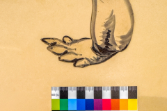 Labyrinthodon-model-004-Academy-of-Natural-Sciences-Philadelphia-permission-required-to-reuse-or-repost