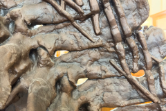 Sedgwick-Museum-Geology-Cambridge-IMG_2542