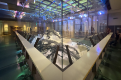 Excavation display of the Bernissart Iguanodons