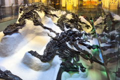 Excavation display of the Bernissart Iguanodons