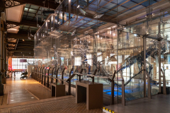 Bernissart Iguanodons