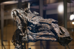 Bernissart Iguanodons