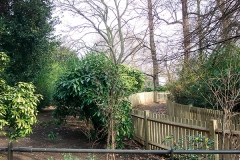 Path leading to 1985 Brown Dog Statue (by Nicola Hicks) in Battersea Park