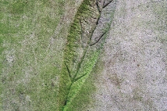 1985 Brown Dog Statue (by Nicola Hicks) with plinth in Battersea Park, detail of plinth