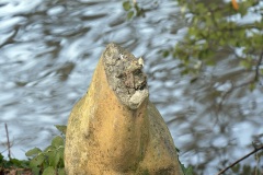Vandalism to Paleotherium 2015 remains unrepaired in 2020