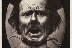 darwin-expression-of-emotions-in-man-and-animals-joe-cain-sharon-messenger-12