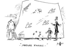 Evolution - A Journal of Nature - cartoon from issue 20