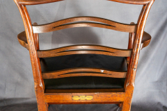 erasmus-darwin-chair-2026-back