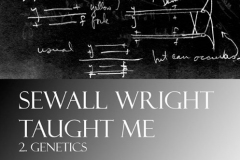 Sewall Wright Taught Me volume 2 Genetics