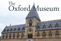 The Oxford Museum