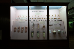 Case 92-94 Embryology Case 92-94 Embryology