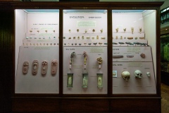 Case 92-94 Embryology Case 92-94 Embryology