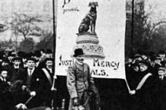 anti-vivisection protest 1910 about the Brown Dog case