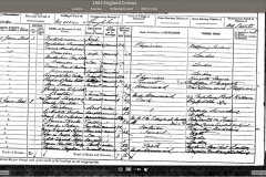 1881 census records for 88 Gower Street