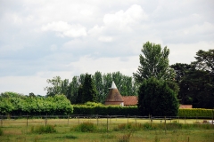 Marker for original Piltdown Excavation site - location in the hedgerow