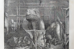 Full page. The Extinct Animals Model-Room Full page. The Extinct Animals Model-Room