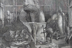 The Extinct Animals Model-Room (whole image) The Extinct Animals Model-Room (whole image)