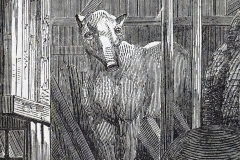 Paleotherium close-up. The Extinct Animals Model-Room Paleotherium close-up. The Extinct Animals Model-Room