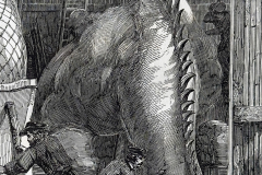 Hylaeosaurus close-up. The Extinct Animals Model-Room Hylaeosaurus close-up. The Extinct Animals Model-Room