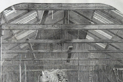 Close-up of ceiling. The Extinct Animals Model-Room Close-up of ceiling. The Extinct Animals Model-Room