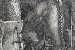 Craftsmen close-up. The Extinct Animals Model-Room Craftsmen close-up. The Extinct Animals Model-Room