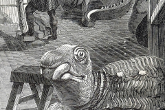 Detail of studio right side. The Extinct Animals Model-Room Detail of studio right side. The Extinct Animals Model-Room