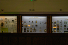 Survey of Animals exhibit in Natural History Gallery (balcony) in Horniman Museum, Forest Hill, London, UK Survey of Animals exhibit in Natural History Gallery (balcony) in Horniman Museum, Forest Hill, London, UK