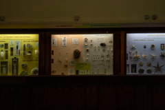 Survey of Animals exhibit in Natural History Gallery (balcony) in Horniman Museum, Forest Hill, London, UK Survey of Animals exhibit in Natural History Gallery (balcony) in Horniman Museum, Forest Hill, London, UK