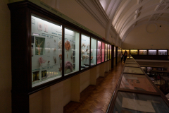 Survey of Animals exhibit in Natural History Gallery (balcony) in Horniman Museum, Forest Hill, London, UK Survey of Animals exhibit in Natural History Gallery (balcony) in Horniman Museum, Forest Hill, London, UK