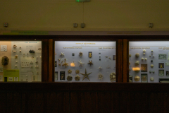 Survey of Animals exhibit in Natural History Gallery (balcony) in Horniman Museum, Forest Hill, London, UK