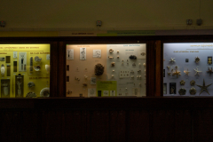 Survey of Animals exhibit in Natural History Gallery (balcony) in Horniman Museum, Forest Hill, London, UK Survey of Animals exhibit in Natural History Gallery (balcony) in Horniman Museum, Forest Hill, London, UK