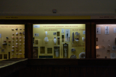 Survey of Animals exhibit in Natural History Gallery (balcony) in Horniman Museum, Forest Hill, London, UK Survey of Animals exhibit in Natural History Gallery (balcony) in Horniman Museum, Forest Hill, London, UK