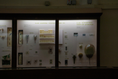 Survey of Animals exhibit in Natural History Gallery (balcony) in Horniman Museum, Forest Hill, London, UK