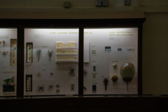 Survey of Animals exhibit in Natural History Gallery (balcony) in Horniman Museum, Forest Hill, London, UK Survey of Animals exhibit in Natural History Gallery (balcony) in Horniman Museum, Forest Hill, London, UK