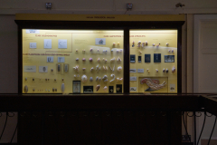 Survey of Animals exhibit in Natural History Gallery (balcony) in Horniman Museum, Forest Hill, London, UK Survey of Animals exhibit in Natural History Gallery (balcony) in Horniman Museum, Forest Hill, London, UK