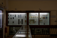Survey of Animals exhibit in Natural History Gallery (balcony) in Horniman Museum, Forest Hill, London, UK Survey of Animals exhibit in Natural History Gallery (balcony) in Horniman Museum, Forest Hill, London, UK