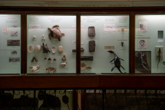 Survey of Animals exhibit in Natural History Gallery (balcony) in Horniman Museum, Forest Hill, London, UK Survey of Animals exhibit in Natural History Gallery (balcony) in Horniman Museum, Forest Hill, London, UK