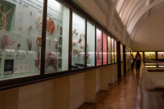 Survey of Animals exhibit in Natural History Gallery (balcony) in Horniman Museum, Forest Hill, London, UK